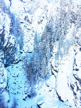 Load image into Gallery viewer, Zermatt Trees - Fine Art Print
