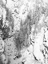 Load image into Gallery viewer, Zermatt Trees - Fine Art Print
